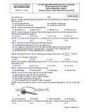 Đề thi thử THPT Quốc gia môn Sinh học năm 2019 lần 1 - Sở GD&ĐT Nghệ An - Mã đề 211