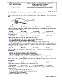 Đề thi thử THPT Quốc gia môn Sinh học năm 2019 lần 1 - Sở GD&ĐT Nghệ An - Mã đề 213