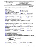 Đề thi thử THPT Quốc gia môn Sinh học năm 2019 lần 1 - Sở GD&ĐT Nghệ An - Mã đề 207