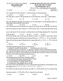 Đề thi thử THPT Quốc gia môn Vật lí năm 2019 lần 1 - Sở GD&ĐT Nghệ An - Mã đề 207