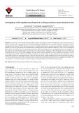 Investigation of the regulation mechanism of Arabidopsis thaliana anion channel SLAH2