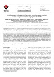 Identification and pathogenicity of bacteria in the Mediterranean corn borer Sesamia nonagrioides Lefebvre (Lepidoptera: Noctuidae)