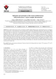 Phylogeny and systematics of the western Mediterranean Vella pseudocytisus-V. aspera complex (Brassicaceae)