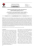 Ultrastructural observations in somatic embryogenesis of natural tetraploid Trifolium pratense L.