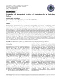 Evaluation of antagonistic activity of actinobacteria in saxicolous lichens