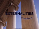 Lecture note Public finance (10th Edition) - Chapter 5: Externalities