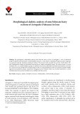 Morphological cladistic analysis of some bifurcate hairy sections of Astragalus (Fabaceae) in Iran