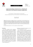 Anatomical findings of Onobrychis sect. Heliobrychis (Fabaceae) in Iran and their taxonomic implications