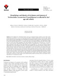 Morphology and density of trichomes and stomata of Trichosanthes cucumerina (Cucurbitaceae) as affected by leaf age and salinity