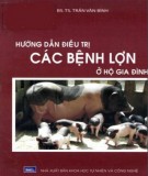 Bệnh lợn ở hộ gia đình và các hướng dẫn điều trị: Phần 2