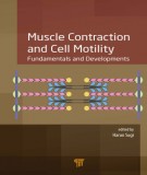 Cell motility and muscle contraction: Part 2