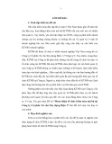 Tóm tắt Luận văn Thạc sĩ Kế toán: Hoàn thiện tổ chức kiểm toán nội bộ tại Công ty Cổ phần Tư vấn Xây dựng Điện 1