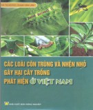 Các loại côn trùng nhỏ gây hại cho cây trồng và phát hiện ở Việt Nam (Quyển 1): Phần 2