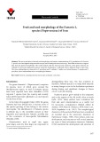 Fruit and seed morphology of the Fumaria L. species (Papaveraceae) of Iran