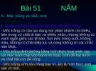 Giáo án Sinh học 6: Bài 5 - Nấm