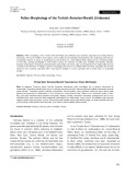 Pollen morphology of the Turkish Romulea Maratti (Iridaceae)