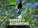 Lecture Survey of Accounting (First edition): Chapter 8 – Kimmel, Weygandt