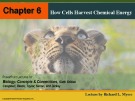 Lecture Biology: Concepts and connections (Sixth edition) – Chapter 6