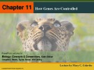 Lecture Biology: Concepts and connections (Sixth edition) – Chapter 11