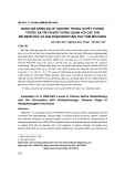 Đánh giá nồng độ cf ADN-EBV trong huyết tương trước xạ trị và mối tương quan với các thể mô bệnh học và giai đoạn bệnh ung thư vòm mũi họng