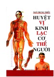 Cơ thể người và các huyệt vị kinh lạc