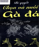 Gà đá - Các bí quyết chọn và nuôi: Phần 1