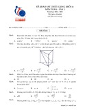 Đề KSCL ôn thi THPT Quốc gia môn Toán năm 2019 có đáp án - Trường THPT M.V Lômônôxốp (Lần 2)