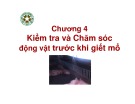 Chương 4: Kiểm tra và chăm sóc động vật trước khi giết mổ