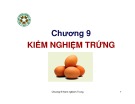 Chương 9: Kiểm nghiệm trứng