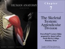 Lecture Human anatomy (6/e): Chapter 7 - Martini, Timmons, Tallitsch