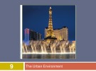 Lecture Human ecology - Chapter 9: The urban environment