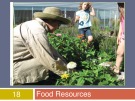 Lecture Human ecology - Chapter 18: Food resources