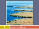 Lecture Human ecology - Chapter 3: Ecosystems and energy