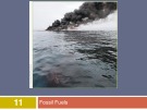 Lecture Human ecology - Chapter 11: Fossil fuels