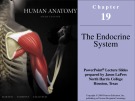 Lecture Human anatomy (6/e): Chapter 19 - Martini, Timmons, Tallitsch
