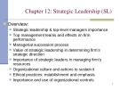 Lecture Organizational strategies for the 21st century - Chapter 12