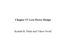 Lecture VLSI Digital signal processing systems: Chapter 17 - Keshab K. Parhi