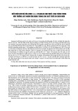 Biểu hiện gen mã hóa endo 1,4 β-xylanase chịu nhiệt, hoạt động trong môi trường axit ứng dụng trong sản xuất thức ăn chăn nuôi