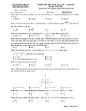 Đề thi thử THPT QG môn Toán năm 2019 lần 2 - Sở GD&ĐT Nghệ An - Mã đề 115