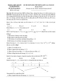 Đề thi thử THPT QG môn Toán năm 2019 - THPT Chuyên Lê Thánh Tông - Quảng Nam