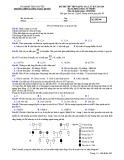 Đề thi thử THPT QG môn Sinh năm 2019 lần 2 - THPT Lương Ngọc Quyến - Mã đề 008