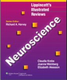 Neuroscience and review of illustrated: Part 2