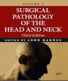 The head and neck in surgical pathology (Volume 3 - Third edition): Part 2