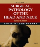The head and neck in surgical pathology (Volume 1 - Third edition): Part 1