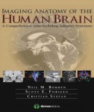 The human brain and imaging of anatomy: Part 1