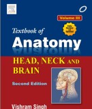 Head, neck and brain - The textbook of anatomy (Volume 3 - Second edition): Part 2