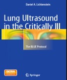 The critically ill in lung ultrasound: Part 1