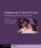A multidisciplinary approach of maternal critical care: Part 2