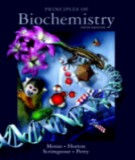 Biochemistry and principles (Fifth edition): Part 2