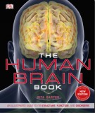 The handbook of human brain: Part 2